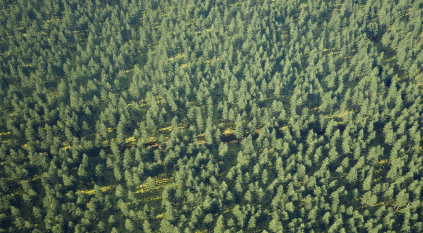 Grid image